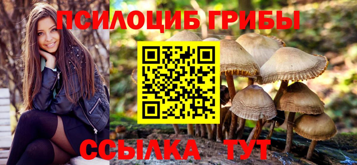Галлюциногенные грибы MAGIC MUSHROOMS  Вход с VPN  Галлюциногенные грибы MAGIC MUSHROOMS  где найти наркотики  Ялта 